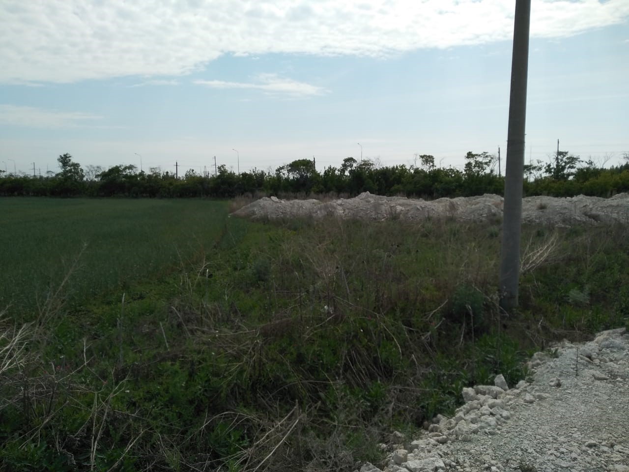 Объект по адресу Москва, Светлодольская улица 