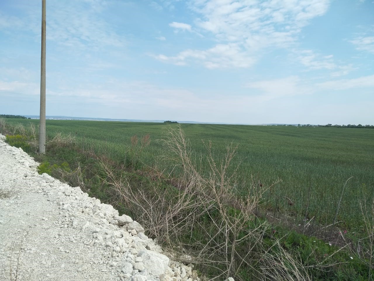 Объект по адресу Москва, Светлодольская улица 