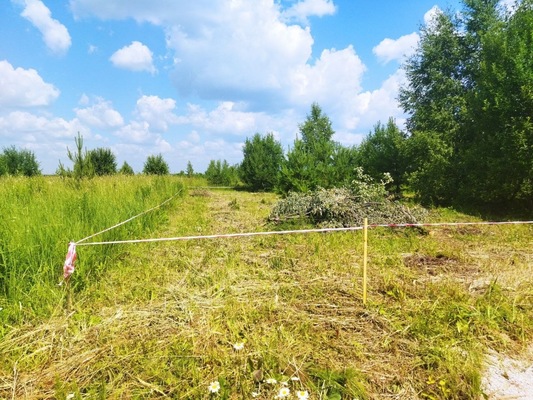 Объект по адресу Москва, Белугино д 