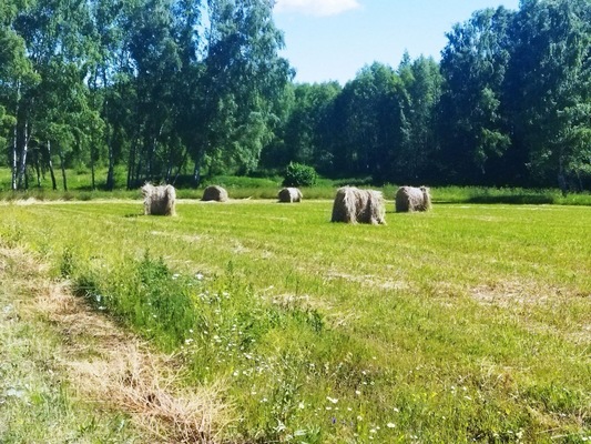 Объект по адресу Москва, Белугино д 