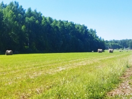 Объект по адресу Москва, Белугино д 