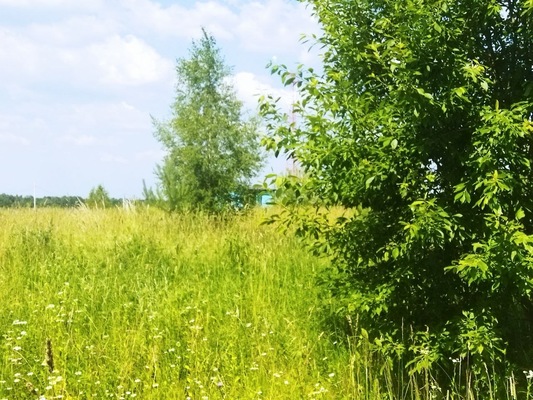 Объект по адресу Москва, Белугино д 