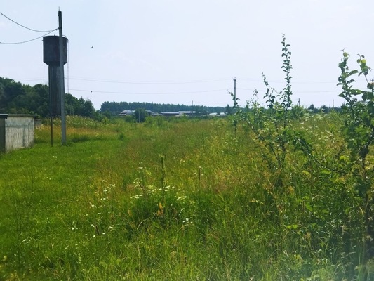 Объект по адресу Москва, Белугино д 
