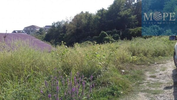 Объект по адресу Краснодарский край, Адлерский р-н, Нижняя Шиловка с, Комарова ул, д. 34