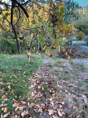 Объект по адресу Краснодарский край, Хостинский р-н, Семеновка с, Измайловская ул, д. 12