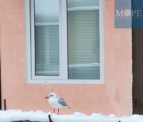 Объект по адресу Краснодарский край, Центральный р-н, Мамайка снт, Полтавская ул, д. 22