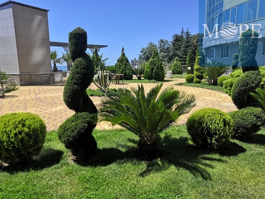Объект по адресу Москва, Ленина (Адлерский р-н) ул, 298б 