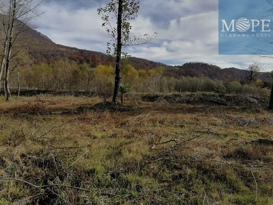 Объект по адресу Краснодарский край, Адлерский р-н, Галицыно с, Батайская ул, д. 54