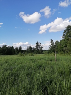 Объект по адресу Тульская обл, Алексинский р-н, Новогородищенская ул, д. 5