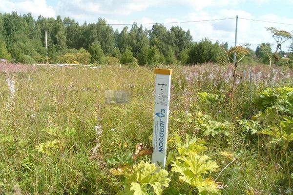 Объект по адресу Московская обл, Клинский р-н, Третьяково д