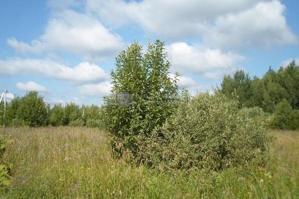 Объект по адресу Московская обл, Клинский р-н, Третьяково д