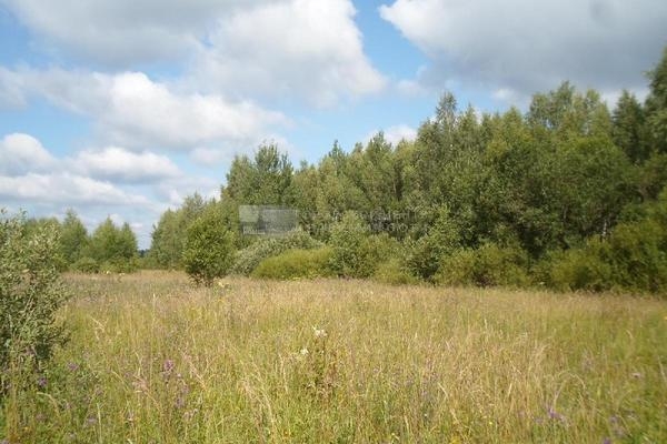 Объект по адресу Московская обл, Клинский р-н, Третьяково д