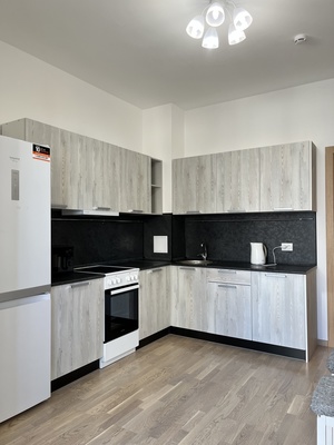 Объект по адресу Санкт-Петербург г, Дыбенко ул, д. 2