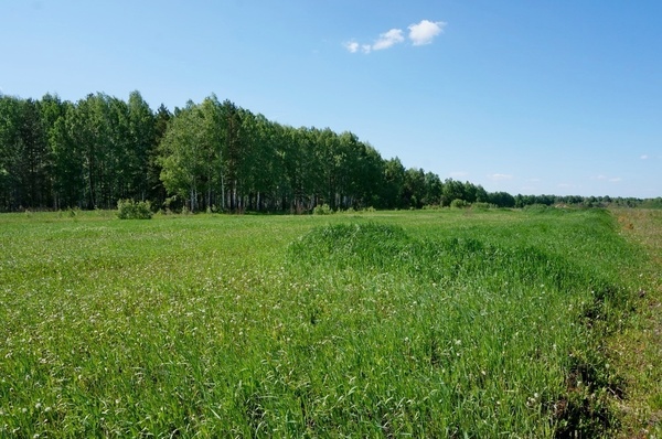 Объект по адресу Тульская обл, Алексинский р-н, Сукромна д, д. 2А