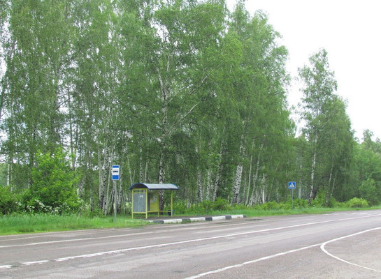 Объект по адресу Московская обл, Раменский р-н, Вялки д, Озерная ул