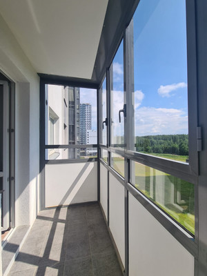 Объект по адресу Санкт-Петербург г, Реки Каменки наб, д. 17к2