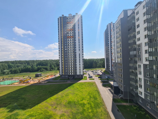 Объект по адресу Санкт-Петербург г, Реки Каменки наб, д. 17к2