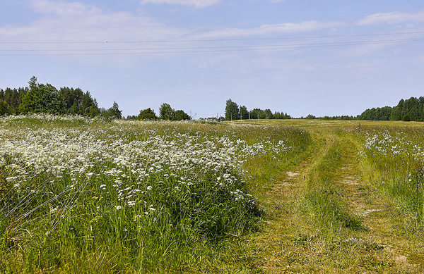 Объект по адресу Ленинградская обл, Приозерский р-н, Васильево д, Луговая ул, д. 14
