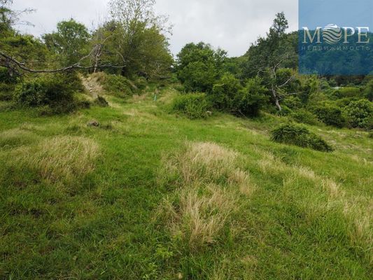 Объект по адресу Краснодарский край, Лазаревский р-н, Верхнее Буу с, Ближний пер, д. 10