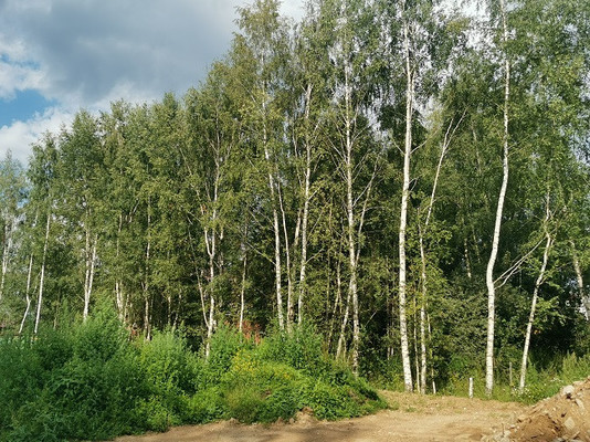 Объект по адресу Москва, Луч гск 