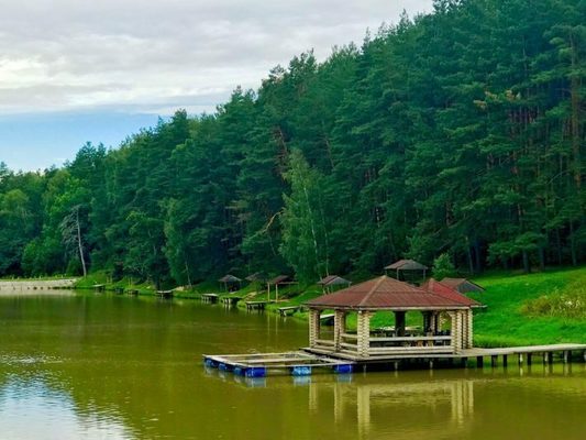 Объект по адресу Москва, Скрипово д 