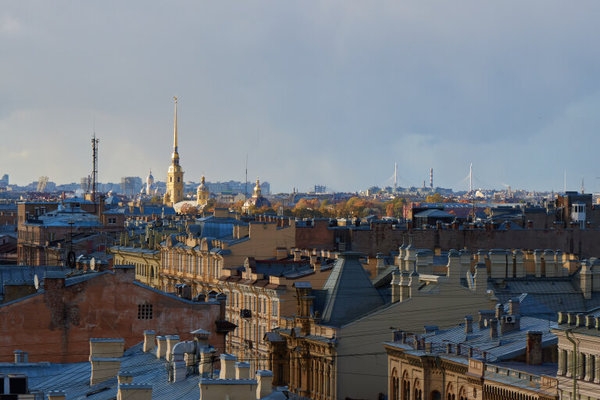 Объект по адресу Санкт-Петербург г, Чайковского ул, д. 61