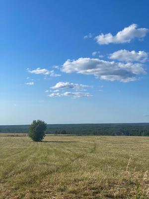 Объект по адресу Москва, Михайловская д 