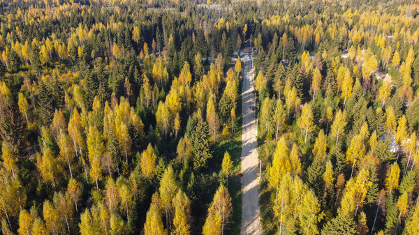 Объект по адресу Москва, Черемыкино д 