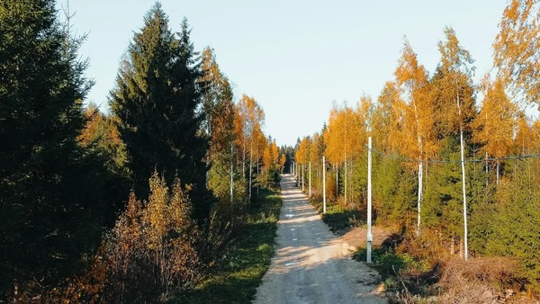 Объект по адресу Москва, Черемыкино д 