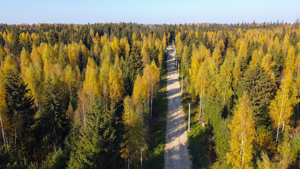 Объект по адресу Москва, Черемыкино д 