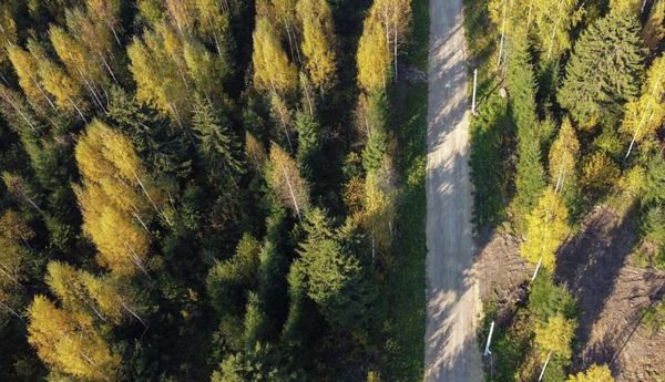 Объект по адресу Москва, Черемыкино д 