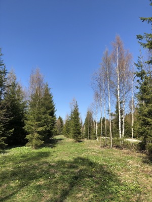 Объект по адресу Москва, Черемыкино д 