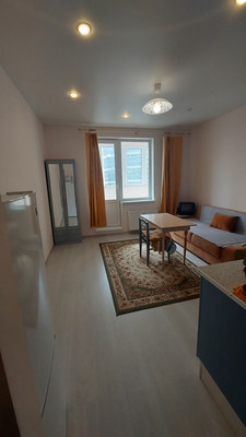 Объект по адресу Санкт-Петербург г, Плесецкая ул, д. 10стр1