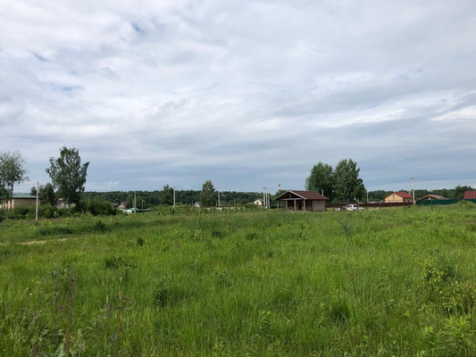 Объект по адресу Московская обл, Свердловский рп, СПК Родина тер