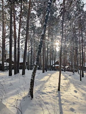 Объект по адресу Красноярский край, Лесная ул, д. 423КЗ