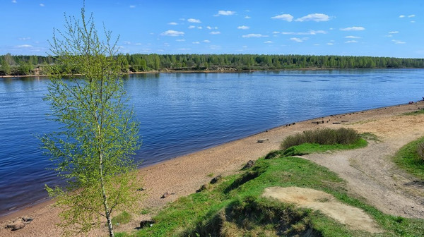 Объект по адресу Ленинградская обл, Всеволожский р-н, Дубровка пгт, Выборгская ул, д. 15