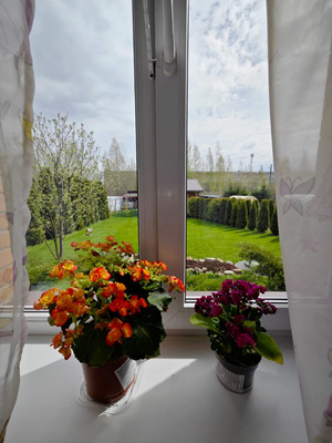 Объект по адресу Ленинградская обл, Гатчинский р-н, Дачная ул, д. 37