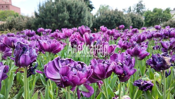 Объект по адресу Ленинградская обл, Приозерский р-н, Массив Бойцово дп