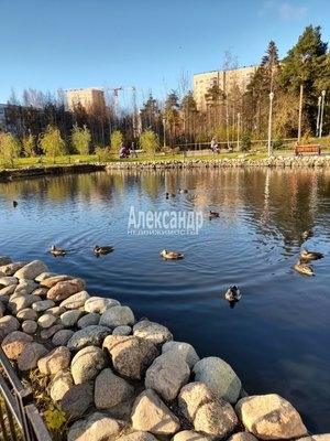 Объект по адресу Ленинградская обл, Всеволожский р-н, Сертолово-1 мкр, Молодцова ул, д. 11