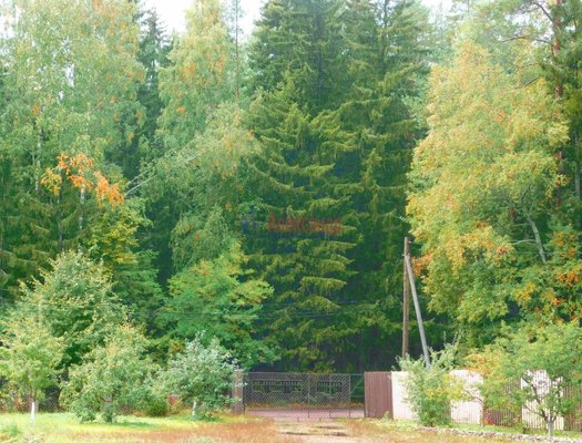 Объект по адресу Москва, Соколинское п, д. 10 