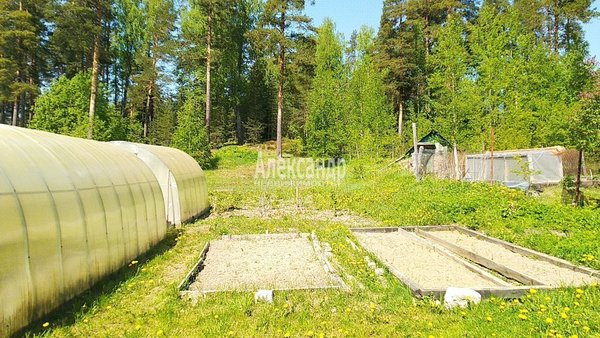 Объект по адресу Ленинградская обл, Выборгский р-н, Пруды п, 1-я Лесная ул, д. 10