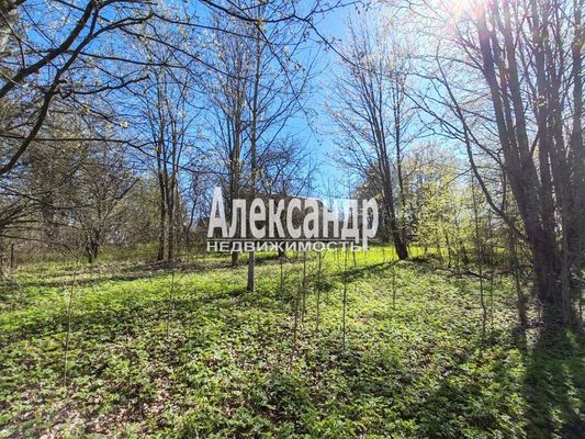 Объект по адресу Ленинградская обл, Лужский р-н, Поддубье (Оредежское с/п) д, Озерная ул, д. 2