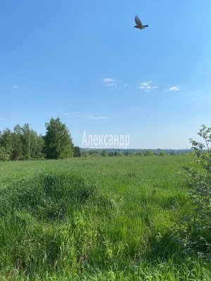 Объект по адресу Москва, Соловьевка п 