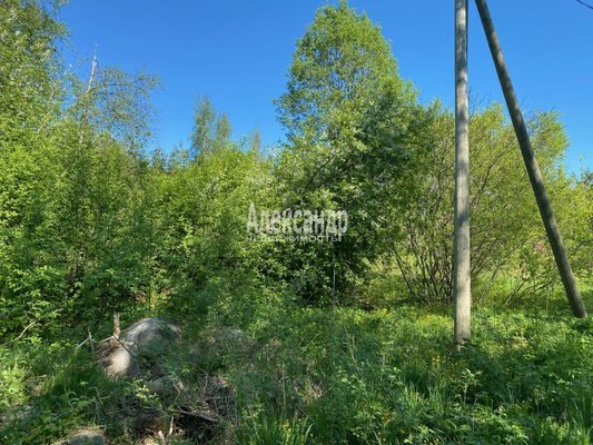 Объект по адресу Москва, Соловьевка п 