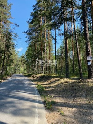 Объект по адресу Москва, Соловьевка п 