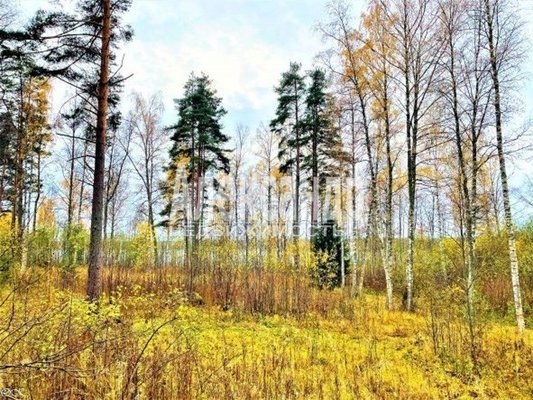 Объект по адресу Москва, Торфяное п 