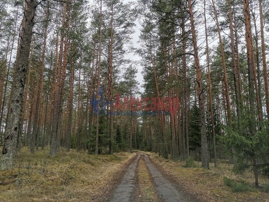 Объект по адресу Москва, Ермилово п 