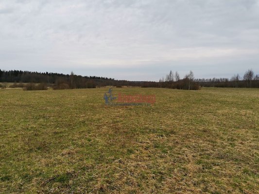 Объект по адресу Москва, Ермилово п 
