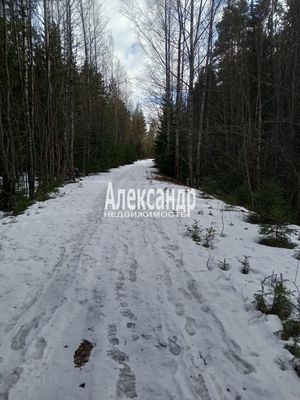 Объект по адресу Ленинградская обл, Выборгский р-н, Балтиец п, Королевская дорога ул