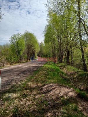 Объект по адресу Ленинградская обл, Выборгский р-н, Балтиец п, Королевская дорога ул